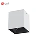 downlight surface mounted